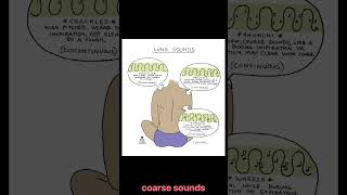 Lung sounds nclexreview nclex nursing [upl. by Tibbs]