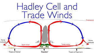 Geography Classics Hadley Cell Trade Winds and Deserts [upl. by Raimondo248]