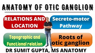 OTIC GANGLION  Anatomy  Roots  Secretomotor pathway [upl. by Inalaehak927]