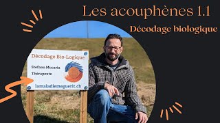 Les acouphènes 11  décodage biologique [upl. by Adnuhsed710]