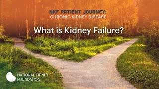 Living Well with Kidney Failure Part 1 What is Kidney Failure [upl. by Slade]