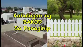 KAHULUGAN NG BAKOD SA PANAGINIP [upl. by Orravan493]