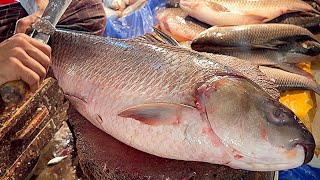 Amazing Cutting Skills  Big Rohu Fish Cleaning amp Chopping By Expert Fish Cutter [upl. by Aikem976]