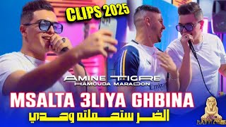 Cheb Amine Tigre 2024 Feat Hamouda Maradon Msalta 3liya Ghbinaالضر ستحملته وحدي© Clips Officiel [upl. by Savell]