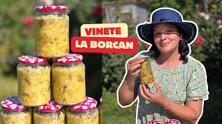 Vinete la borcan pentru iarnă – rețeta care iese 100 🍆  Anyta Cooking [upl. by Glyn473]