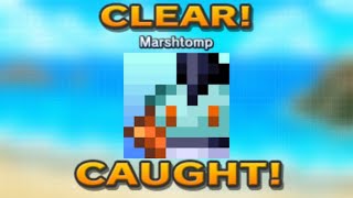 Pokemon Picross  Marshtomp  S1704  20241117 [upl. by Ilajna]