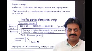 First Year Biology  Chapter 1  Part 6  Phyletic Lineage [upl. by Favianus]