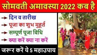 Somvati Amavasya 2022 सोमवती अमावस्या 2022 कब है पूजा विधि क्या ना करे Somvati Amavasya 2022 Date [upl. by Nauh891]