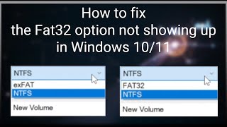 How to Fix the FAT32 Option Not Showing Up in Windows 1011 [upl. by Merell17]