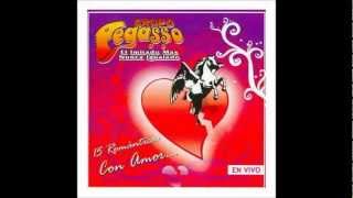 Grupo pegasso amor vendido1wmv [upl. by Irb635]