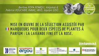 01 Mise en œuvre de la sélection assistée par marqueurs pour deux espèces de plantes à parfum [upl. by Yrrad]