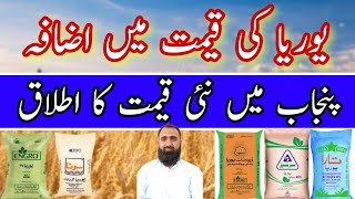 Urea Fertilizer Price in Pakistan Today  Urea New Rate in Punjab  Bilal Kanju Official [upl. by Ettevi910]