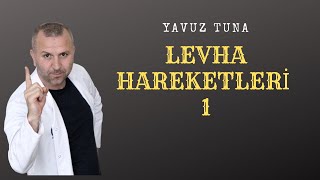 LEVHA HAREKETLERİ 1 tytcoğrafya aytcoğrafya coğrafya kpsscoğrafya [upl. by Aciram413]