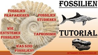 Fossilien Tutorial [upl. by Lever832]