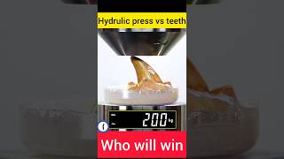 Hydrulic vs shark teeth experiment hydraulictechnology businessideaa businessidea facts [upl. by Boonie]