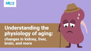 Understanding the physiology of aging changes in kidney liver brain and more [upl. by Lebama]