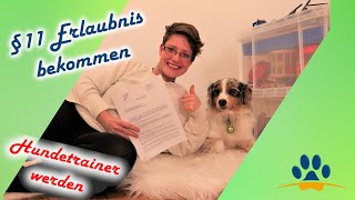 ❌§11 Sachkundenachweis bekommen❌ so ist es gelaufen ❌Jetzt bin ich Hundetrainerin ❌Livestream [upl. by Ial]