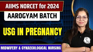 USG in Pregnancy  Midwifery amp Gynaecological Nursing  NORCET 6 2024 [upl. by Dnarud]