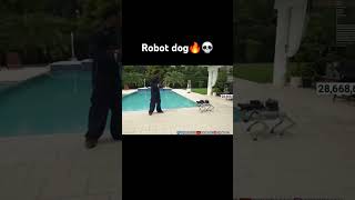 Robot Dog ishowspeed [upl. by Ian815]