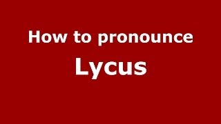 How to Pronounce Lycus  PronounceNamescom [upl. by Harahs]