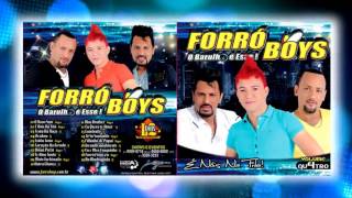 Forró Boys Vol 04  O Novo Som Lançamento [upl. by Oyam]