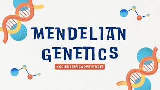 MENDELIAN GENETICS  Science 8 Quarter 4Module 3 [upl. by Johen]