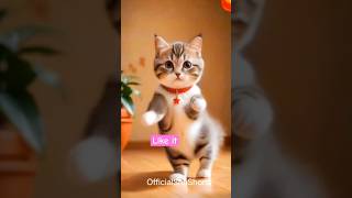 kamariya dole dole 🔥😱🔥😱🔥 cat cute dancevideo shorts billi cartoon 🔥🔥😱😱 [upl. by Leiahtan177]