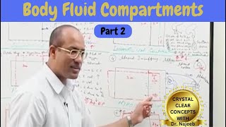 Body Fluid Compartments  IV Fluids  Types amp Uses Part 2 [upl. by Ojyma78]