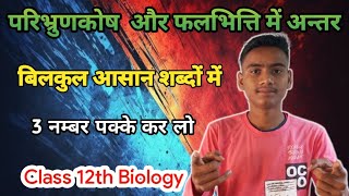 परिभ्रुणकोष और फलभित्ति में अन्तर। difference between embryo sac and pericarp Class 12th Biology [upl. by Englebert31]