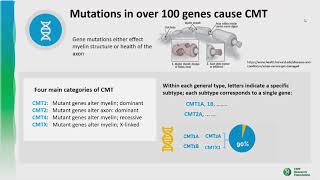 CMT 101 The Genetics of CMT [upl. by Solegnave]