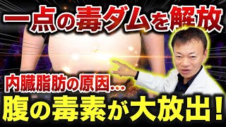 誰も知らない老廃物の【巨大タンク】宿便や腸内環境が悪い人ほどやってください（リンパ・ダイエット・内臓脂肪・腸洗浄） [upl. by Ahsener]