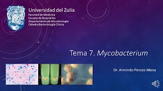 Tema 7 Mycobacterium Parte 1 [upl. by Lerraj]