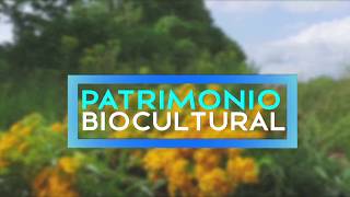 Patrimonio Biocultural  ¿Qué es el Patrimonio Biocultural [upl. by Anelah151]