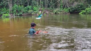 Pescando con arpón robalos y cocinando aventura de pesca por hermoso rio [upl. by Kries989]