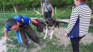 Личный ТЕЛОХРАНИТЕЛЬ с третьего занятия Как ВЕО Джульбарса кусаться научили СТРАЖ Одесса [upl. by Dupin]