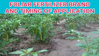 FOLIAR FERTILIZER TIMING OF APPLICATION [upl. by Bigg]