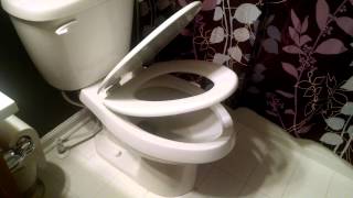 Bemis Slow Close Elongated Adjustable Toilet Seat in white [upl. by Garibald]