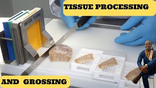 Histopathology part 3 Tissue Processing  Clearing Impregnation [upl. by Sreip]