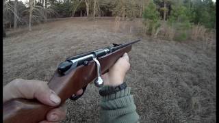 Marlin Model 80G Bolt Action 22 Rifle Try Out [upl. by Iormina]