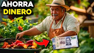 Cómo Hacer Fertilizantes Naturales con Desperdicios de Cocina y Ahorrar Dinero [upl. by Ardnohsal]