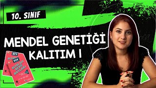 8 MENDEL GENETİĞİ  KALITIM 1  10 SINIF  TYT BİYOLOJİ DERS NOTLARI  2024 [upl. by Sucitivel]