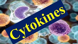 Cytokines and Chemokines [upl. by Davin]