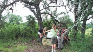 Wild Quail Release 070310 [upl. by Dustie712]