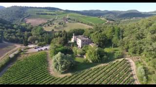 POGGERINO VINEYARD DRONE VIDEO [upl. by Wohlen503]