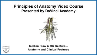 Median Claw amp OK Gesture  Anatomy and Clinical Features Upper Limb Anatomy 18 of 18 [upl. by Lilian]