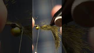 Sour Apple Leech Fly Pattern shorts Fly Tying [upl. by Ecaj]