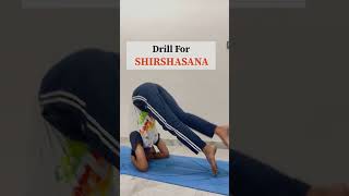 How to do Shirshasana head standonline Yoga Classes shortvideo fitness viralvideo [upl. by Alaek657]