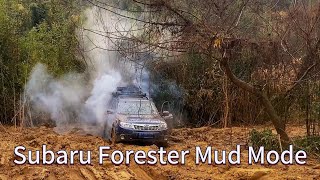 Subaru Forester Mud Mode Escape [upl. by Welford]