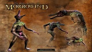 Morrowind Fullrest Repack 4129  Первое прохождение  Серия 25 [upl. by Ymiaj]