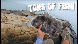 The best way to EASILY CATCH FISH on the Jetties  Port Aransas Jetty Fishing [upl. by Wiltz225]